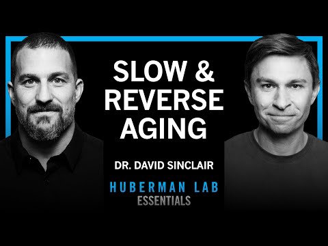 Huberman Lab Essentials with David Sinclair