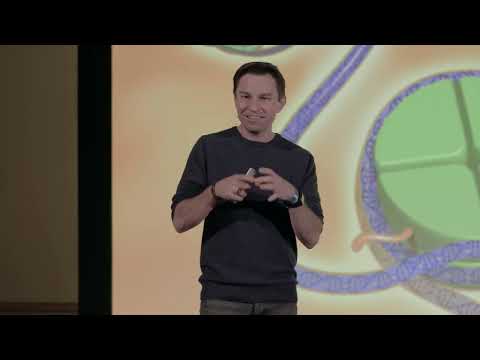 David Sinclair on age reversal trials