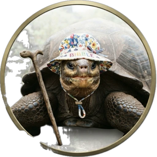 LongevityTortoise mascot