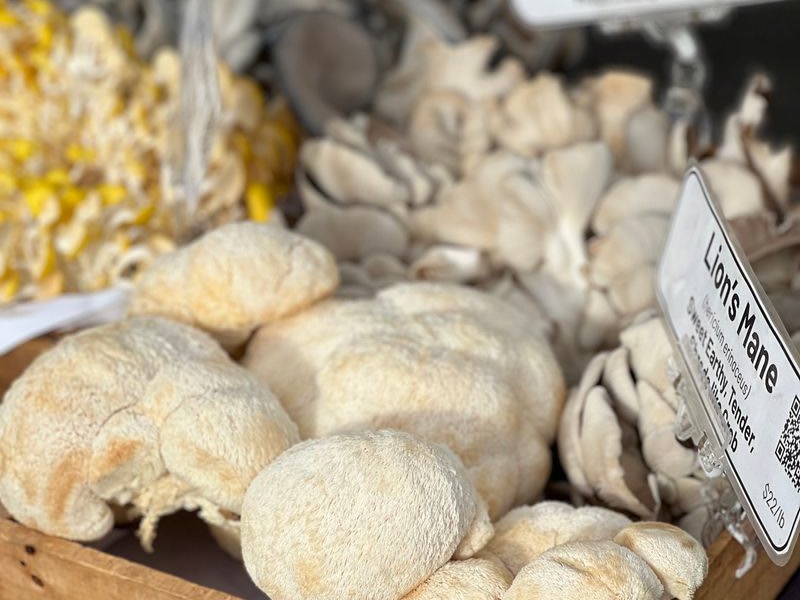 Variety of culinary mushrooms