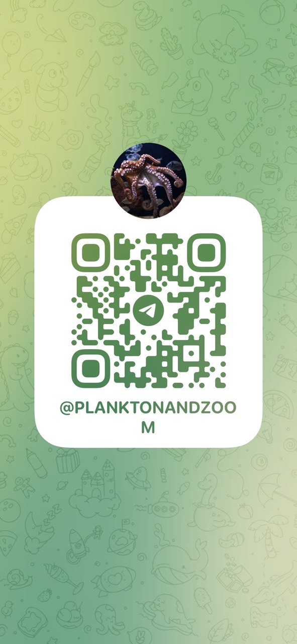 Plankton & Zoom QR code